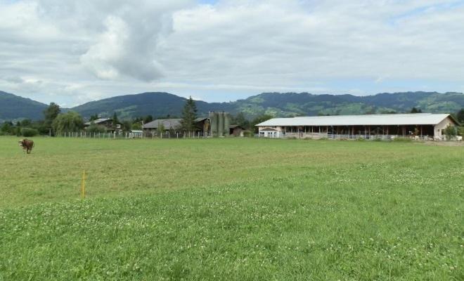 Steigmatt Bauernhof- Erlebnis Βίλα Montlingen Εξωτερικό φωτογραφία